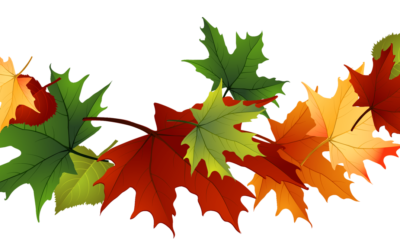 October Risk Reminder
