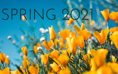 SPRING IS HERE